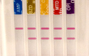 SalivaScan oral fluid drug test results panel example positive for amphetamine